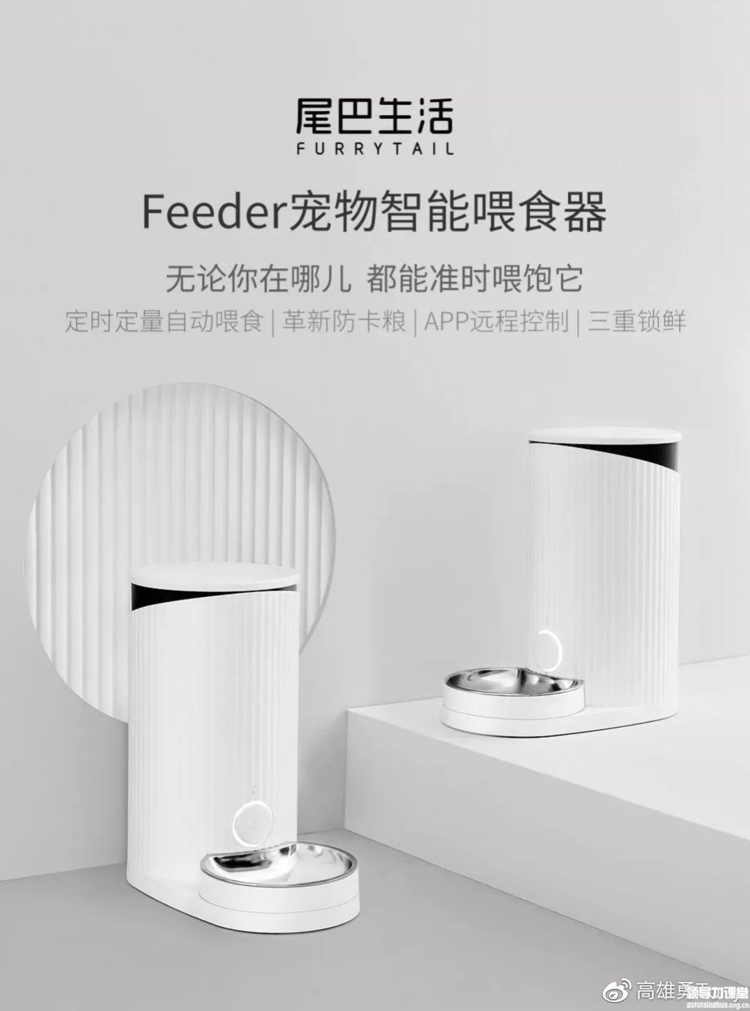 寵物智能投食器