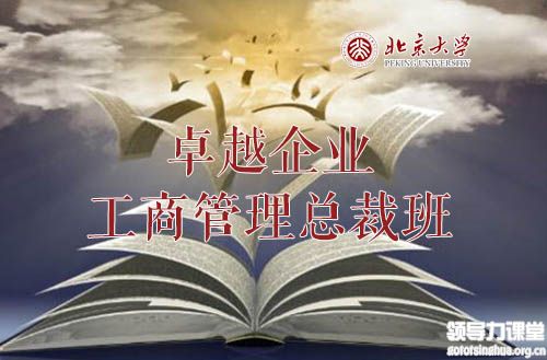 北京大學卓越企業(yè)工商管理總裁班