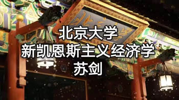 北京大學(xué)蘇劍:新凱恩斯主義經(jīng)濟(jì)學(xué)(1)