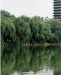 中國(guó)建筑業(yè)EMBA高級(jí)研修班