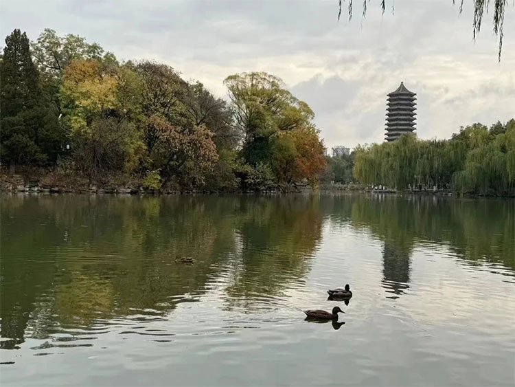 未標(biāo)題-2.jpg