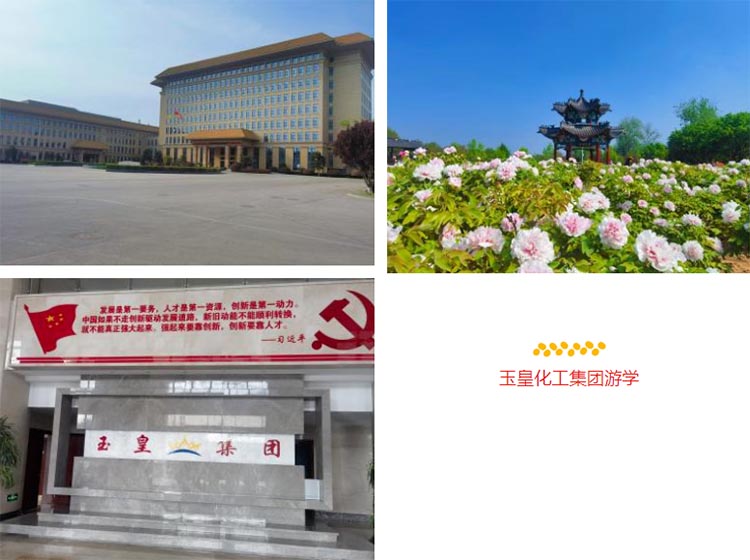 2024年后E黃埔一班玉皇化工集團游學(xué)